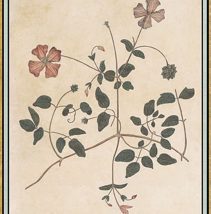 Панно и фотообои Iksel Scenic & Architectural Wallpapers Renaissance Herbier RH29