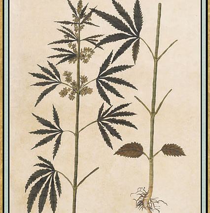 Панно и фотообои Iksel Scenic & Architectural Wallpapers Renaissance Herbier RH30