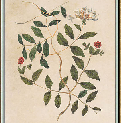 Панно и фотообои Iksel Scenic & Architectural Wallpapers Renaissance Herbier RH34