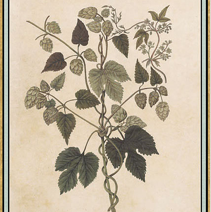 Панно и фотообои Iksel Scenic & Architectural Wallpapers Renaissance Herbier RH35