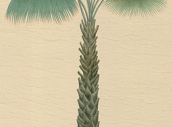 Панно и фотообои Iksel Scenic & Architectural Wallpapers Potted Palms PT04
