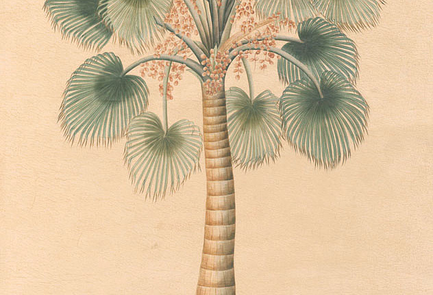 Панно и фотообои Iksel Scenic & Architectural Wallpapers Potted Palms PT10