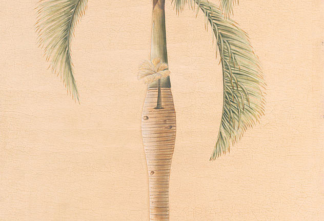Панно и фотообои Iksel Scenic & Architectural Wallpapers Potted Palms PT11