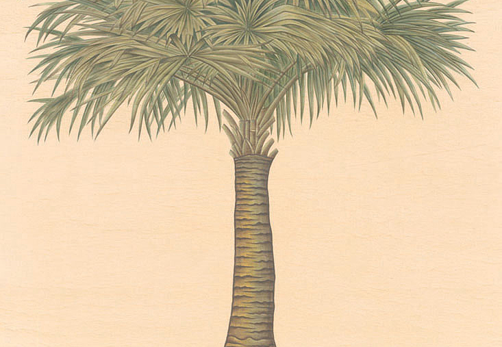 Панно и фотообои Iksel Scenic & Architectural Wallpapers Potted Palms PT15
