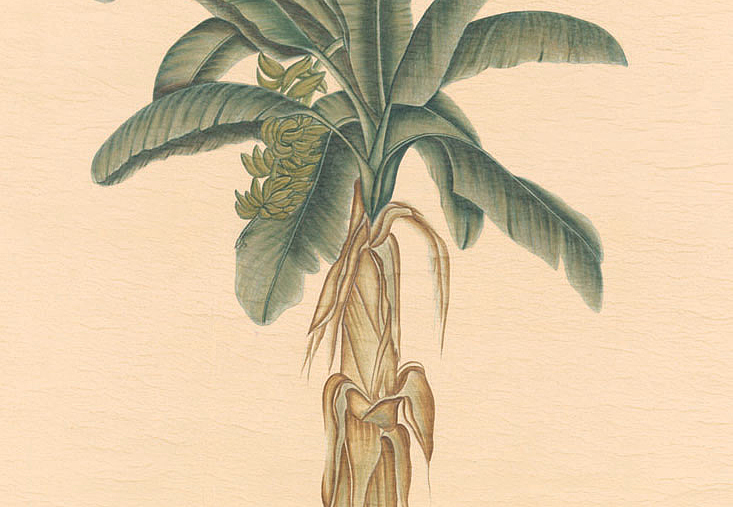 Панно и фотообои Iksel Scenic & Architectural Wallpapers Potted Palms PT16