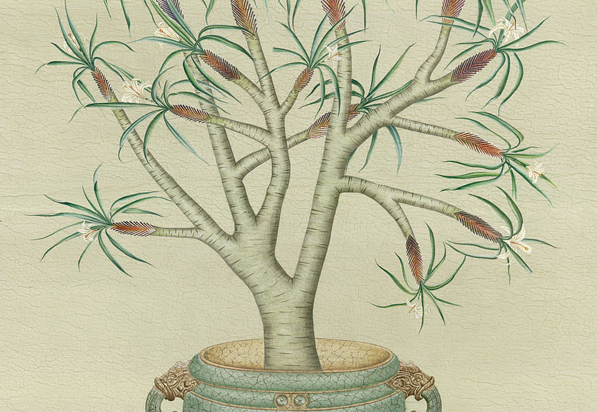 Панно и фотообои Iksel Scenic & Architectural Wallpapers Trees In Celadon Pots GEL1