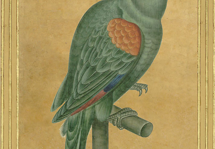 Панно и фотообои Iksel Scenic & Architectural Wallpapers Johann Walter Birds Walt2