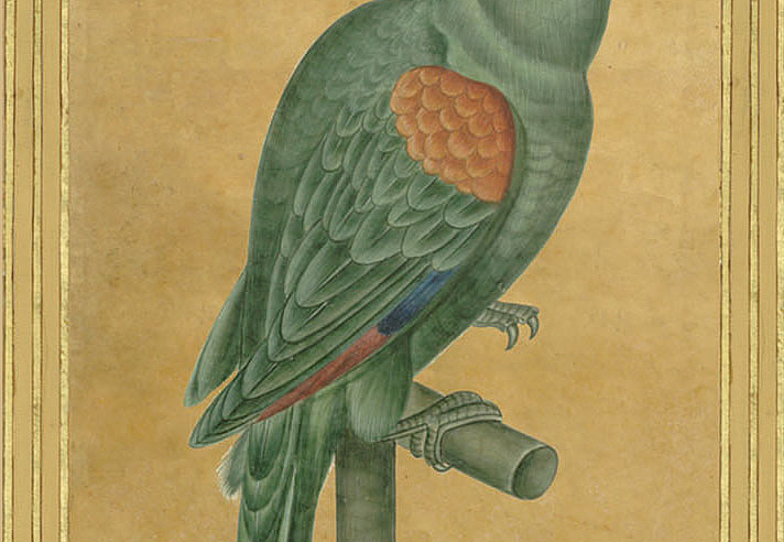 Панно и фотообои Iksel Scenic & Architectural Wallpapers Johann Walter Birds Walt2