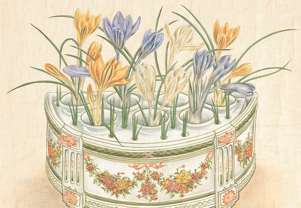 Панно и фотообои Iksel Scenic & Architectural Wallpapers Potted Flowers PF11