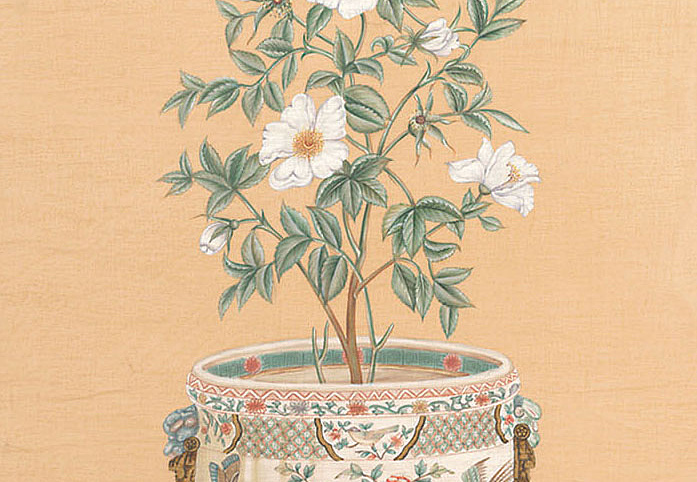 Панно и фотообои Iksel Scenic & Architectural Wallpapers Potted Flowers PF18