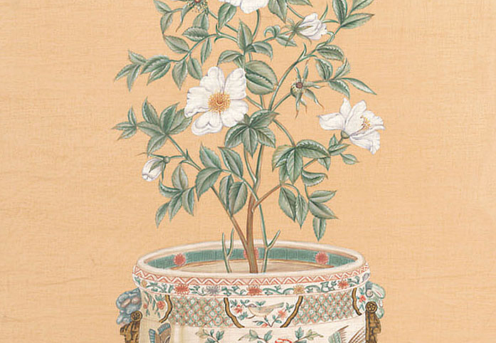 Панно и фотообои Iksel Scenic & Architectural Wallpapers Potted Flowers PF18