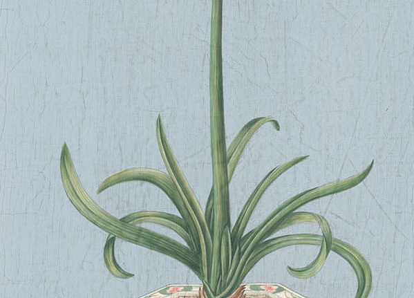 Панно и фотообои Iksel Scenic & Architectural Wallpapers Potted Flowers PF23