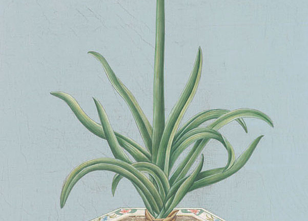 Панно и фотообои Iksel Scenic & Architectural Wallpapers Potted Flowers PF24