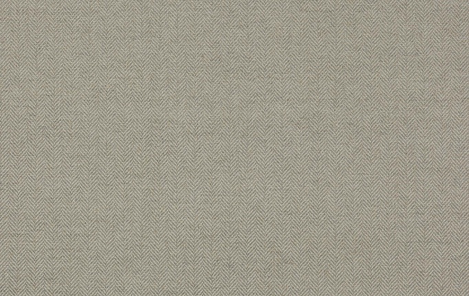 Английская ткань Colefax and Fowler, коллекция Magnus Checks, артикул F4240/09