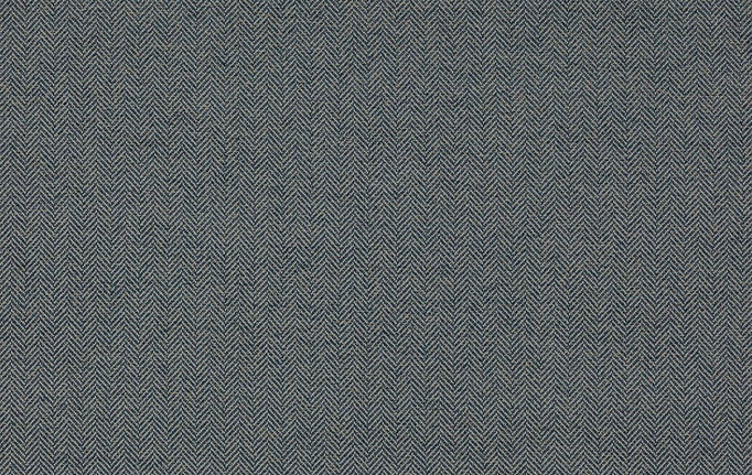 Английская ткань Colefax and Fowler, коллекция Magnus Checks, артикул F4240/12
