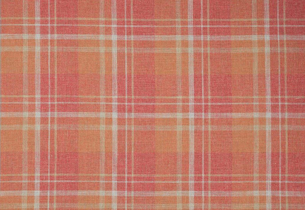 Ткань Colefax and Fowler Magnus Checks F4722/02
