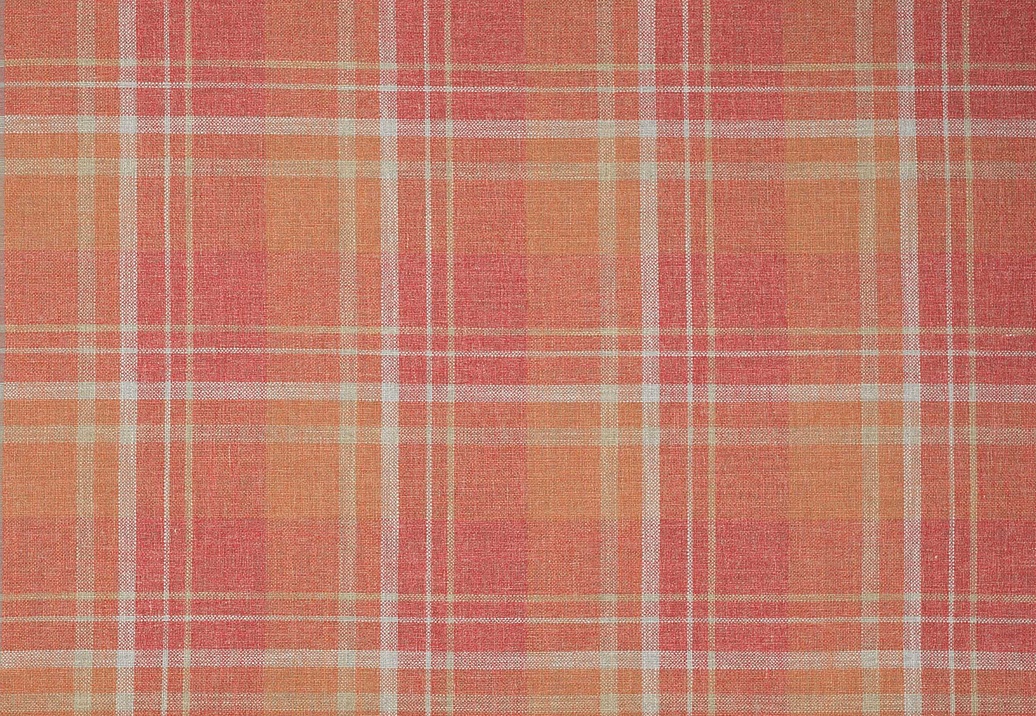 Ткань Colefax and Fowler Magnus Checks F4722/02