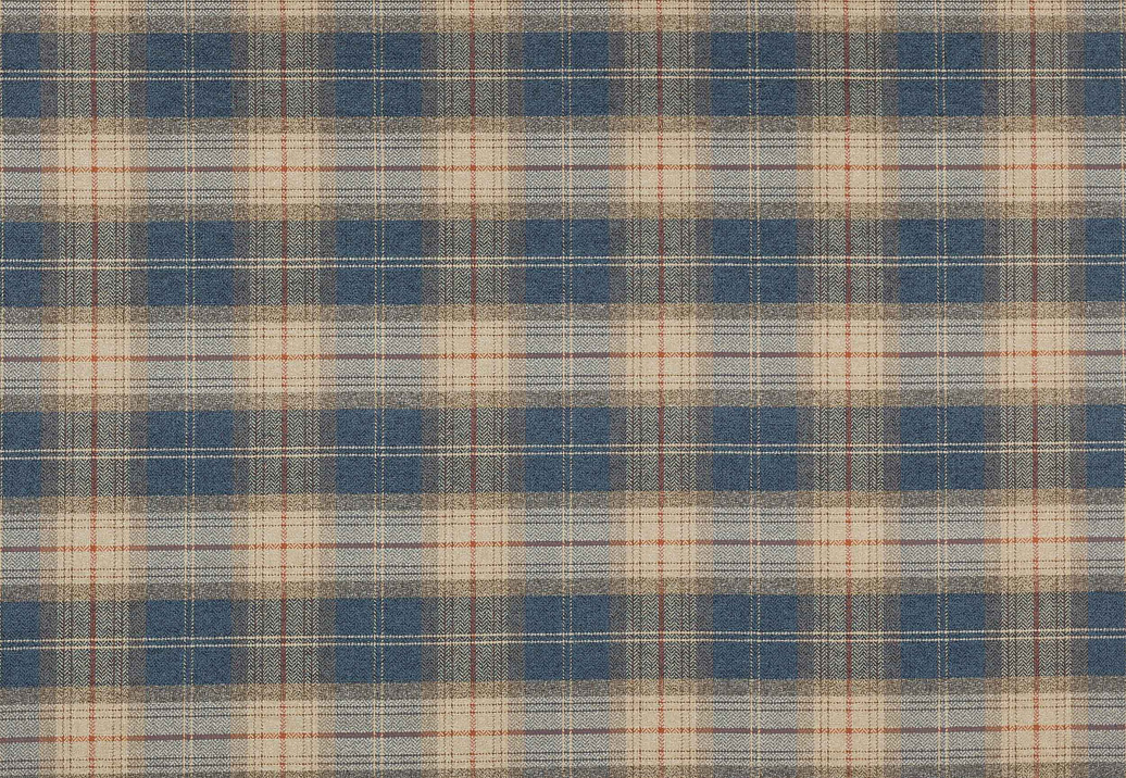 Ткань Colefax and Fowler Magnus Checks F4720/01
