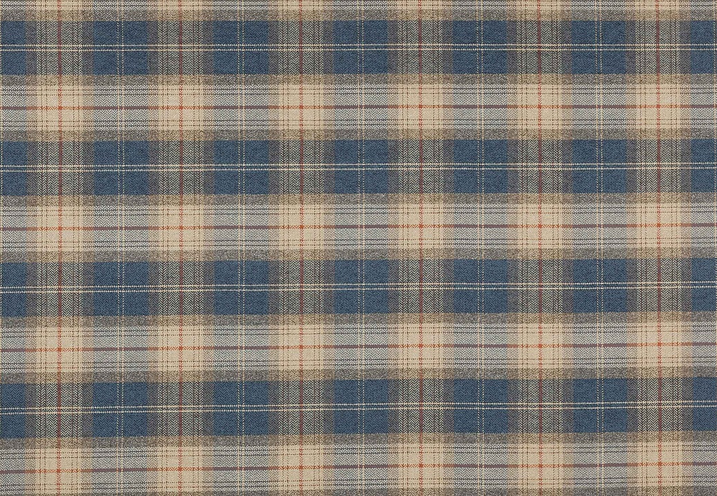 Ткань Colefax and Fowler Magnus Checks F4720/01