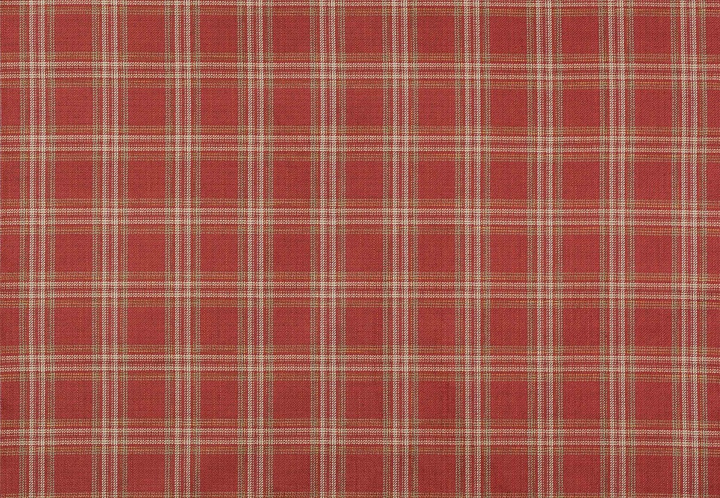 Ткань Colefax and Fowler Magnus Checks F4723/02