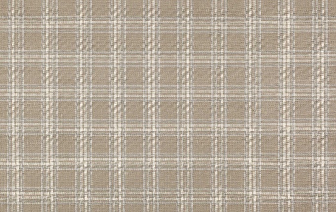 Английская ткань Colefax and Fowler, коллекция Magnus Checks, артикул F4723/04