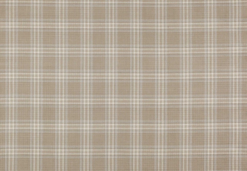 Ткань Colefax and Fowler Magnus Checks F4723/04