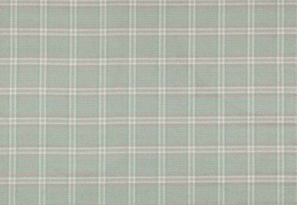 Ткань Colefax and Fowler Magnus Checks F4723/03