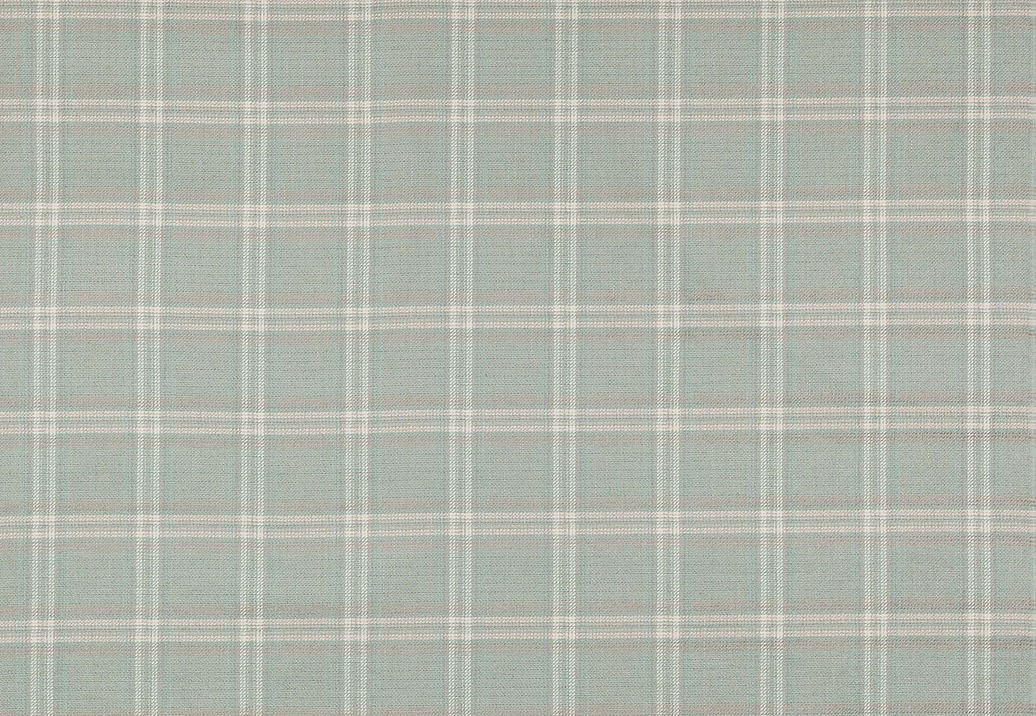 Ткань Colefax and Fowler Magnus Checks F4723/03