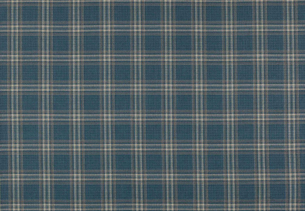 Ткань Colefax and Fowler Magnus Checks F4723/01