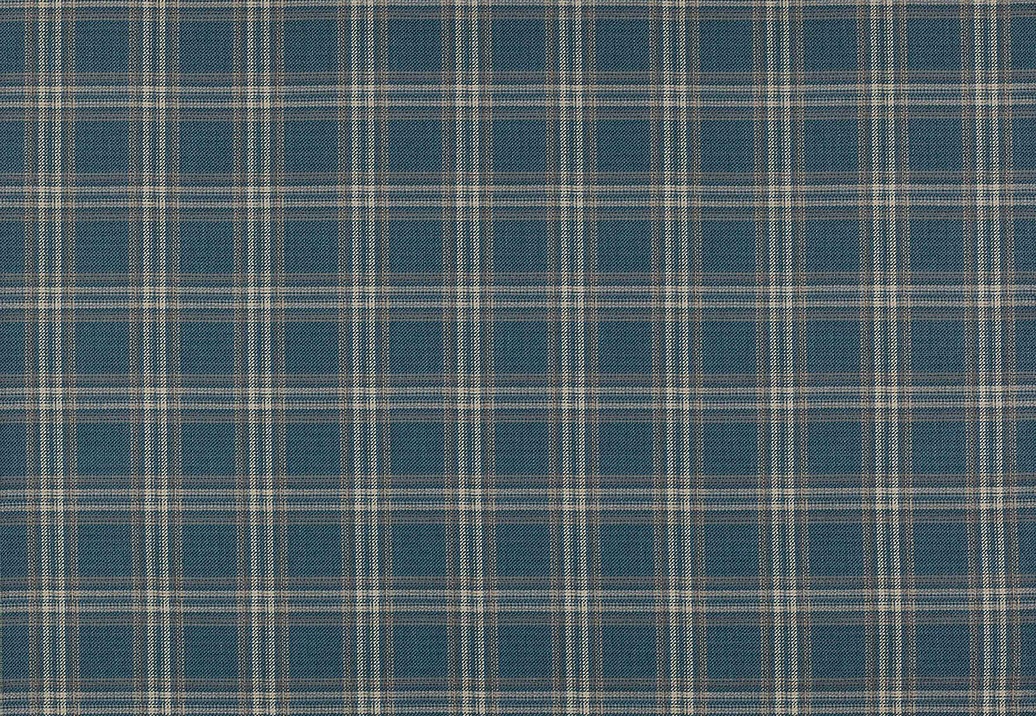 Ткань Colefax and Fowler Magnus Checks F4723/01