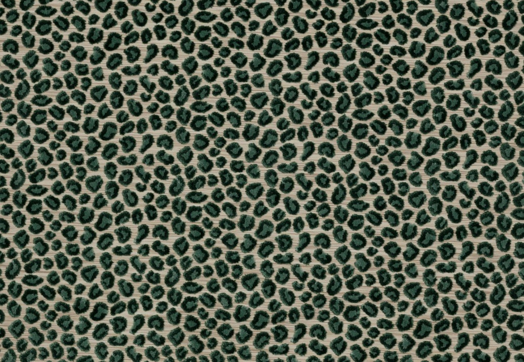 Ткань Colefax and Fowler Casey F3927/11