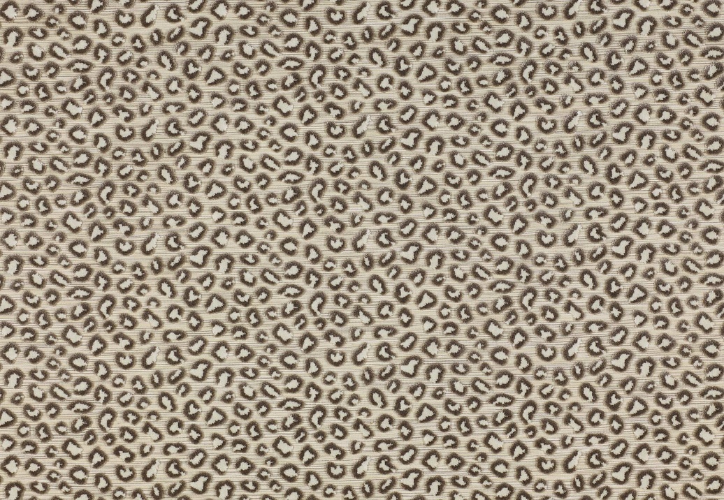 Ткань Colefax and Fowler Casey F3927/03