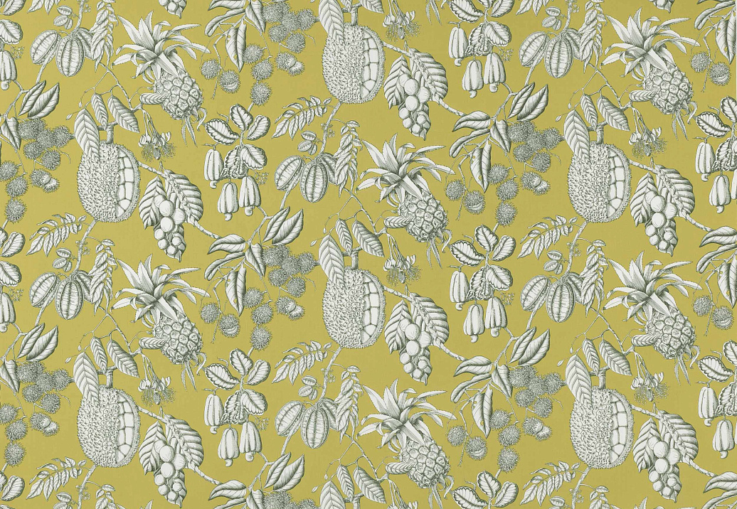 Ткань Manuel Canovas Nara M4077-03
