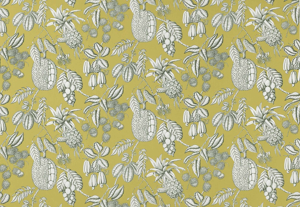 Ткань Manuel Canovas Nara M4077-03