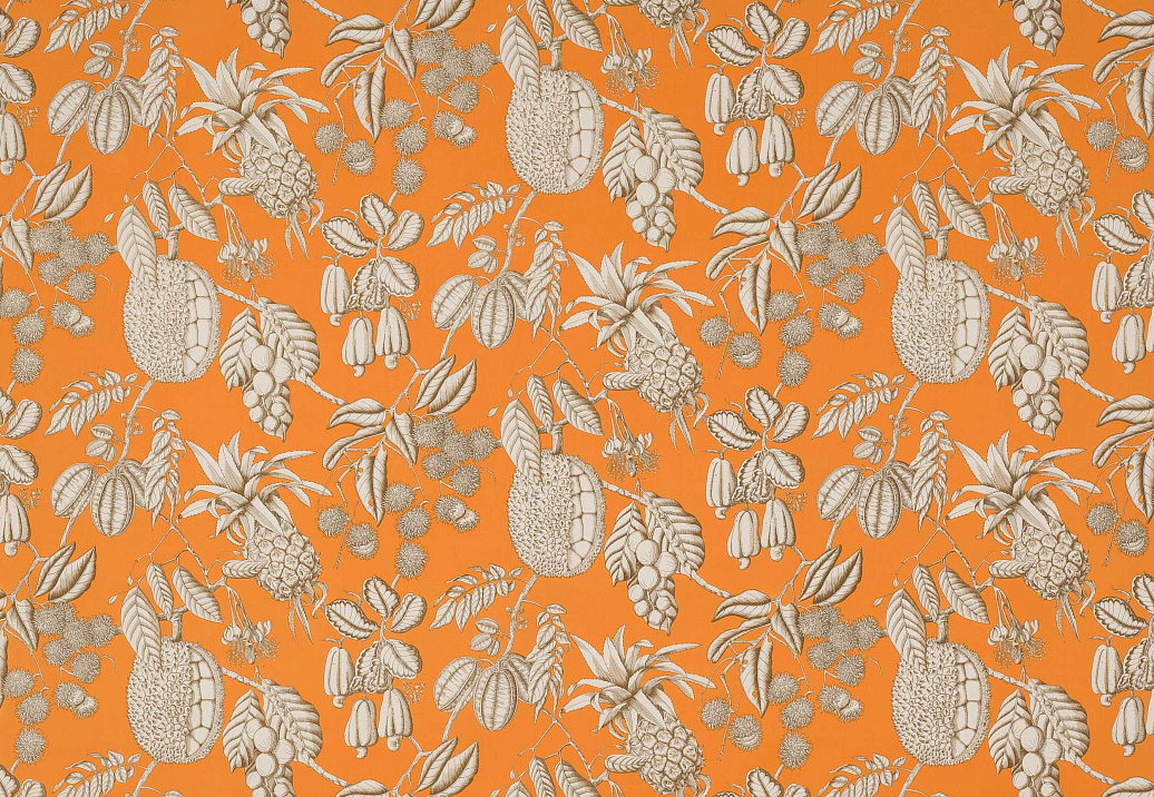 Ткань Manuel Canovas Nara M4077-01