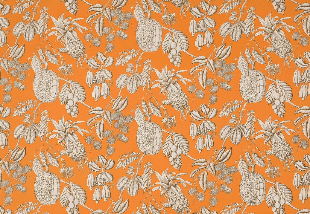 Ткань Manuel Canovas Nara M4077-01