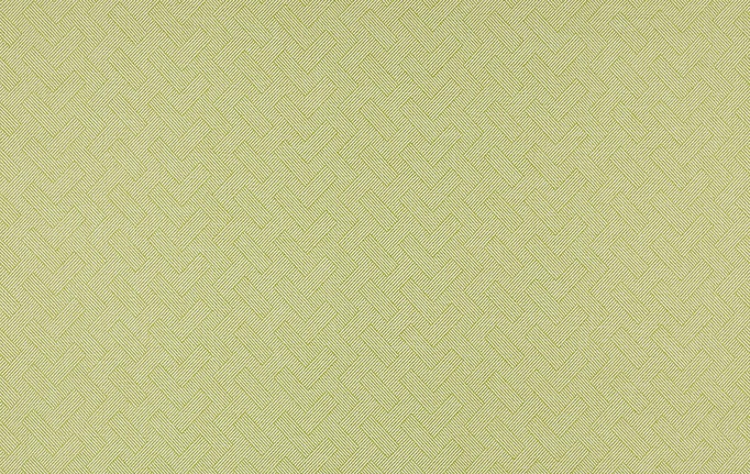 Французская ткань Manuel Canovas, коллекция Bali, артикул M4063-04