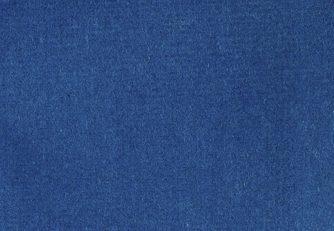 Ткань Alessandro Bini Velluto di Cotone G075/418