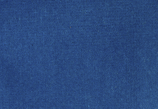 Ткань Alessandro Bini Velluto di Cotone G075/418