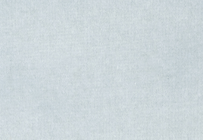 Ткань Alessandro Bini Velluto di Cotone G075/406
