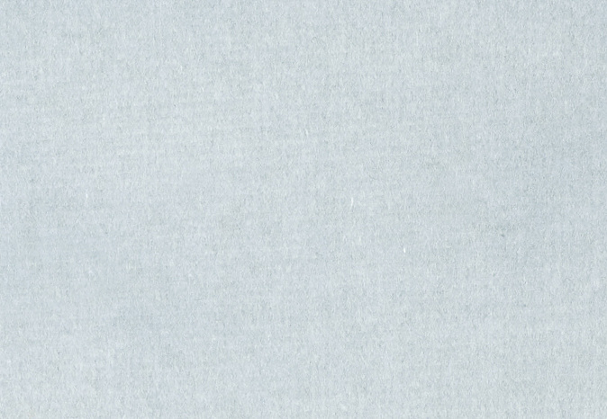 Ткань Alessandro Bini Velluto di Cotone G075/406