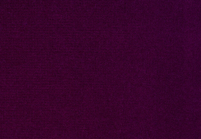 Ткань Alessandro Bini Velluto di Cotone G075/824