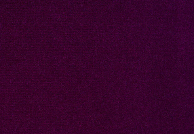 Ткань Alessandro Bini Velluto di Cotone G075/824