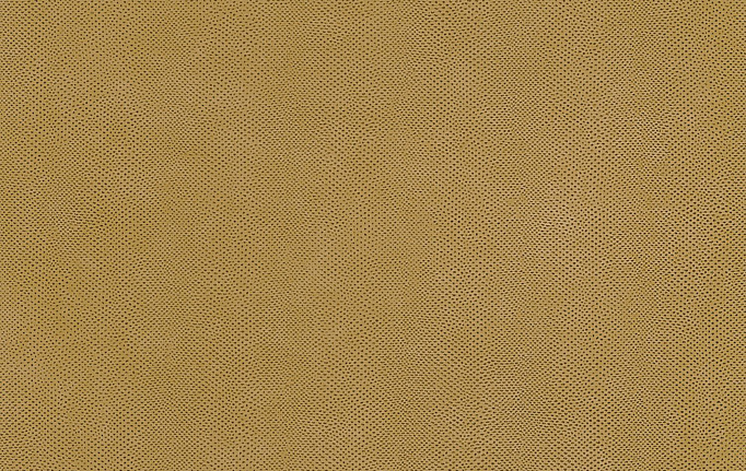 Французские обои Casadeco, коллекция Leathers, артикул LEAT87162407