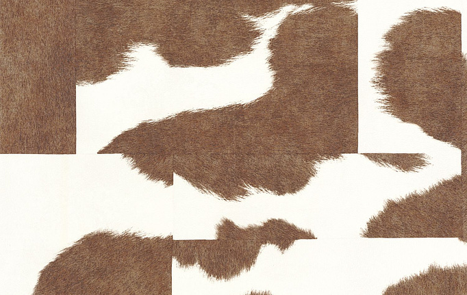 Французские обои Casadeco, коллекция Leathers, артикул LEAT87182518