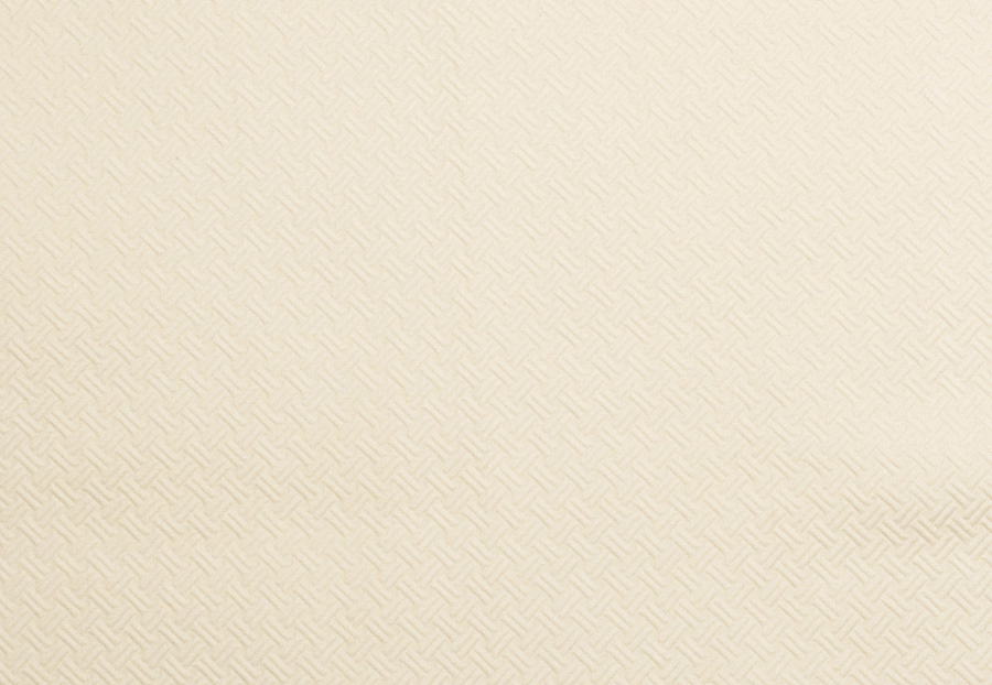 Ткань Trend Jaclyn Smith Home aqua blue 01840 Vanilla