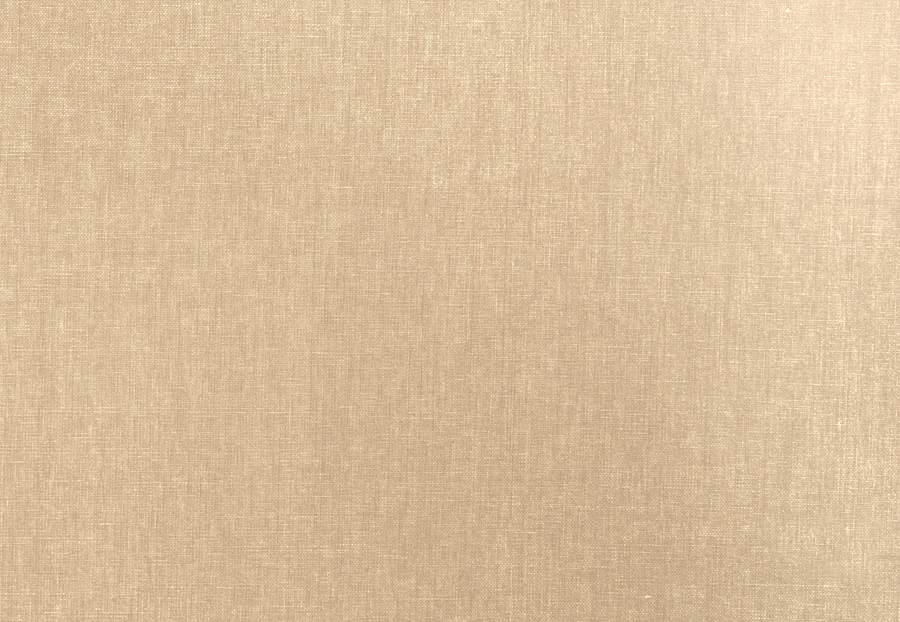 Ткань Trend Jaclyn Smith Home II terracotta cinna 02133 Wheat