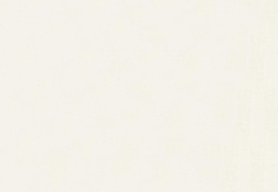Ткань Trend Linen story 02323 White