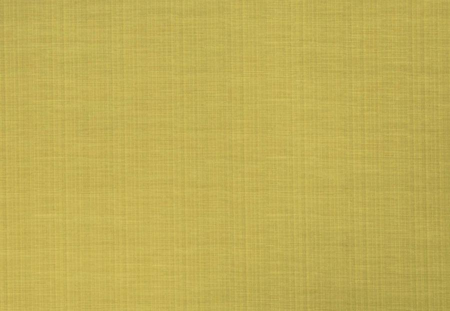 Ткань Trend Timeless embroidery 02337 Pear