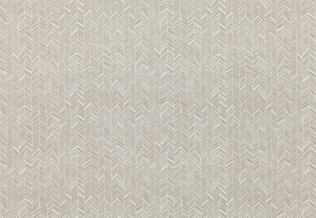 Ткань Zinc Runway Z307/08